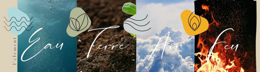 Les 5 Éléments – Comment s’équilibrer en soi avec les forces de la nature ?